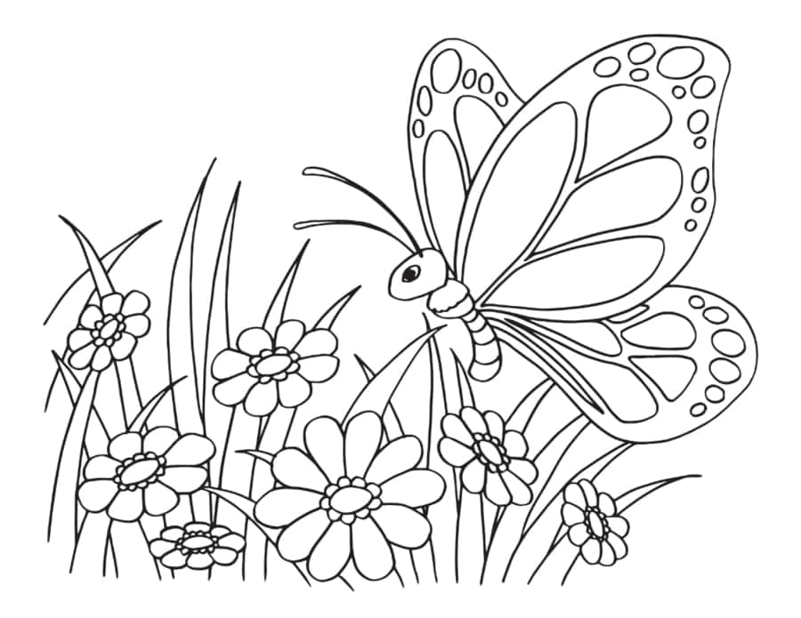 Butterfly Simple Flowers Preschoolers Tracing Shape Pdf Free Vectors